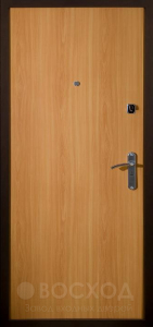 Однопольная дверь ламинат эксклюзивная №37 - фото №2